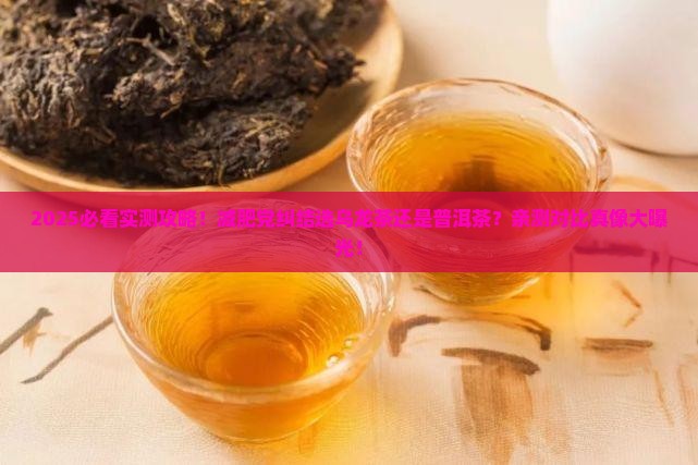 减肥应吃乌龙茶还是普洱茶