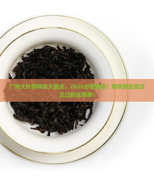 广东大叶茶种类