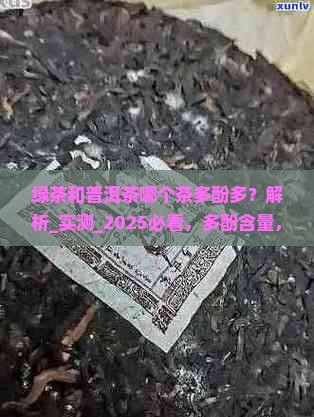 绿茶和普洱茶哪个茶多酚多