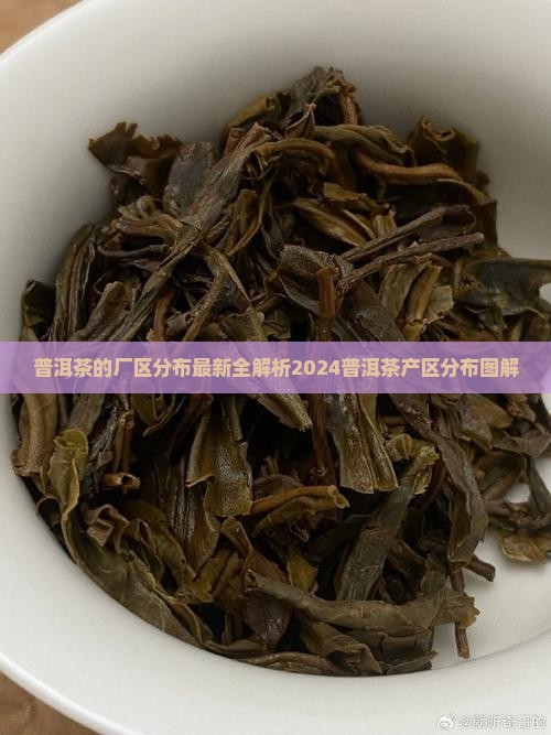 普洱茶的厂区分布
