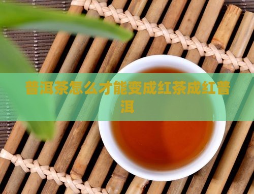 普洱茶怎么才能变成红茶