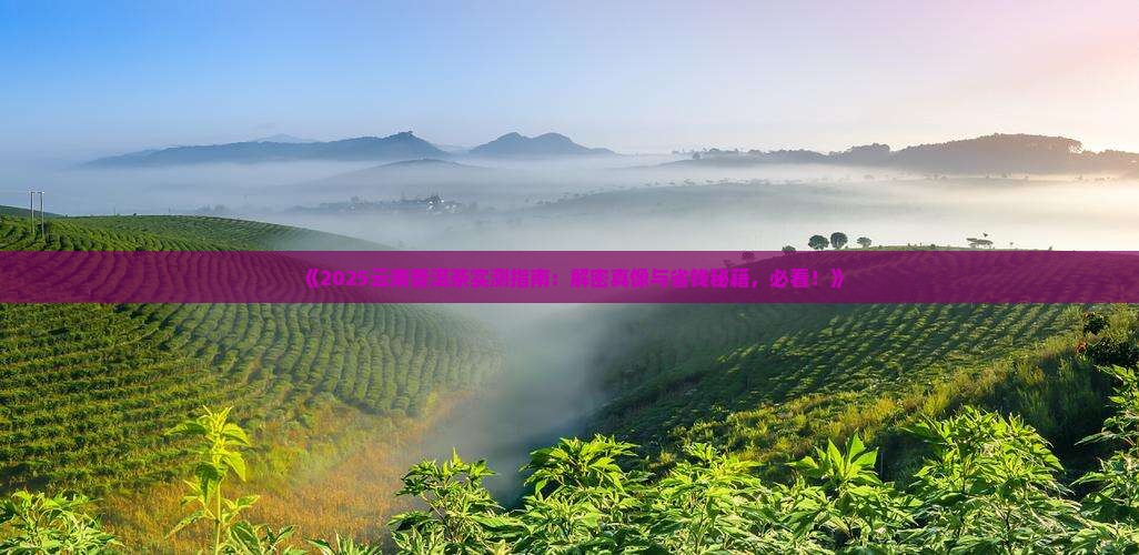 中国云南普洱茶散文征文