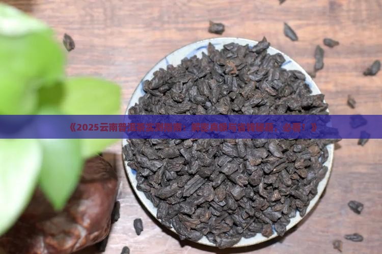 中国云南普洱茶散文征文