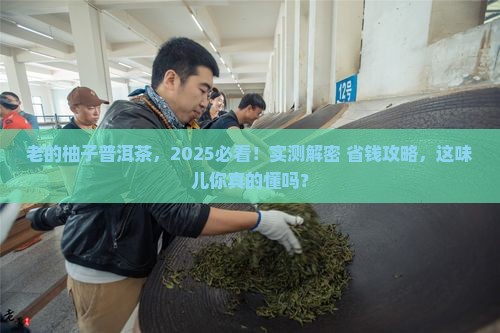 老的柚子普洱茶