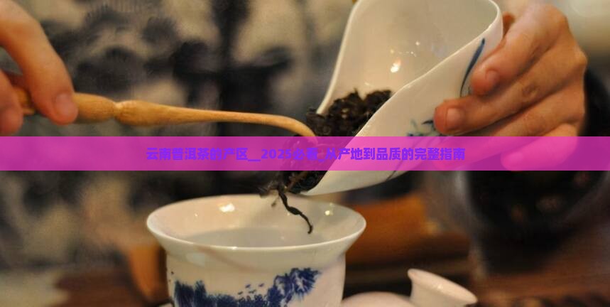 云南普洱茶的产区