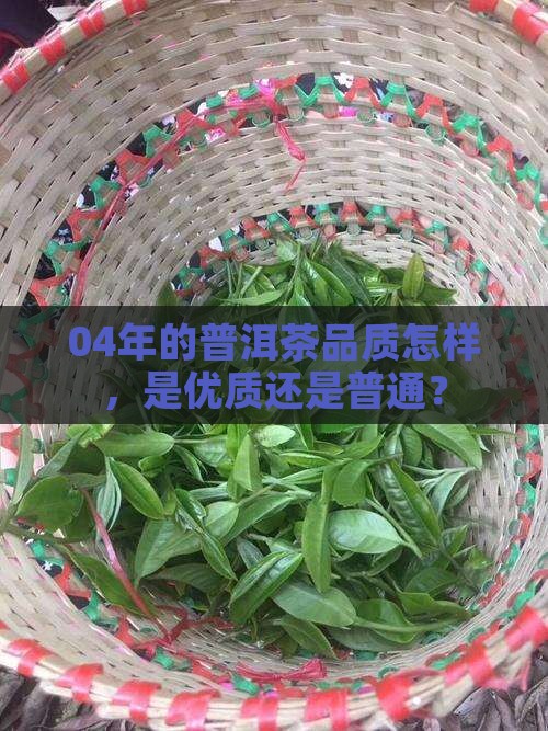 04年的普洱茶品质怎样