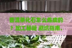 普洱茶化石如何加工