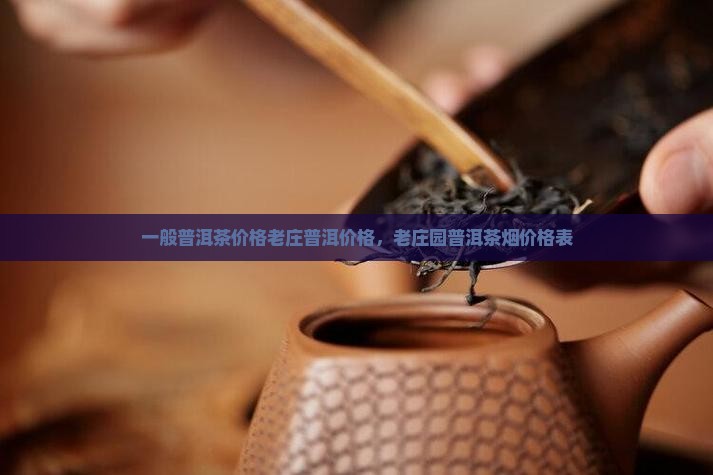 一般普洱茶价格老庄普洱价格