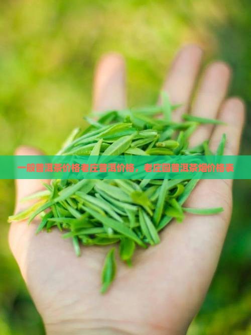 一般普洱茶价格老庄普洱价格