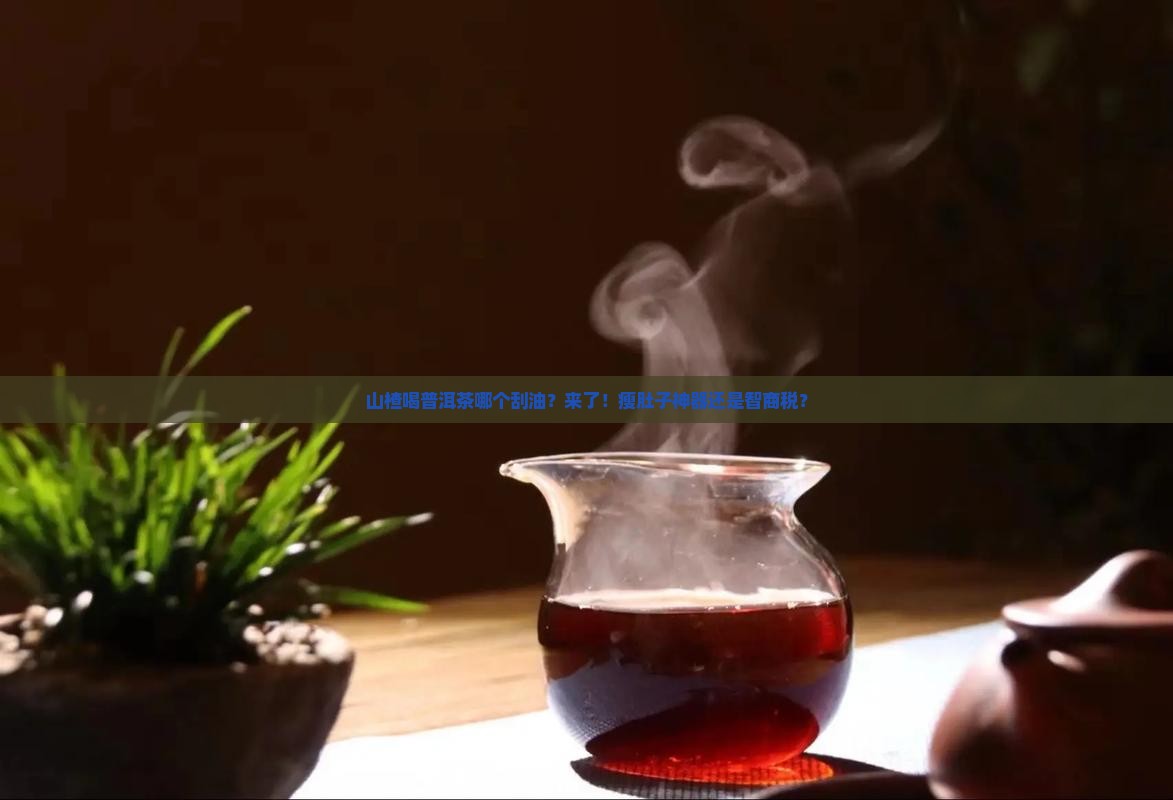 山楂喝普洱茶哪个刮油