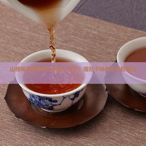 山楂喝普洱茶哪个刮油