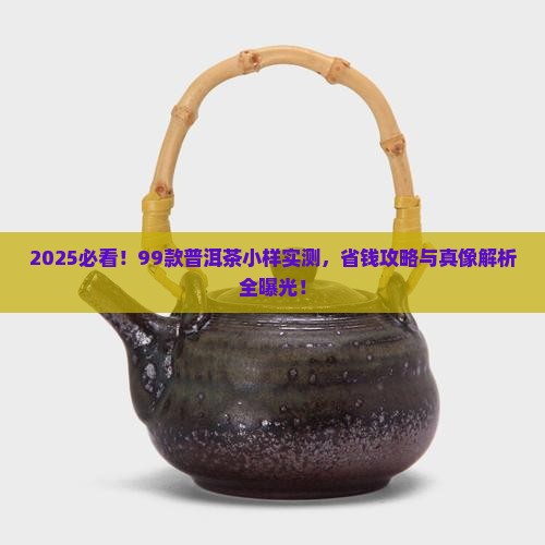 99普洱茶小样试喝