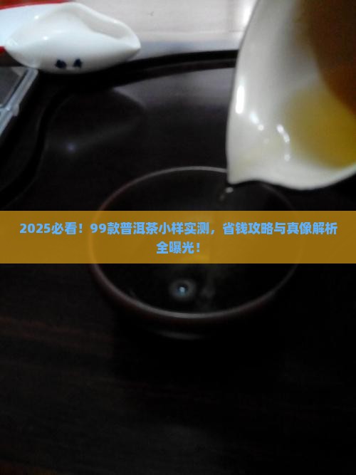 99普洱茶小样试喝