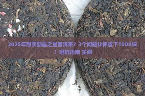 勐昌之星普洱茶价格