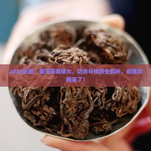 正常普洱茶的功效和作用