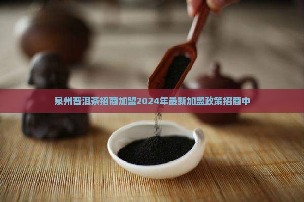 泉州普洱茶品牌招商加盟