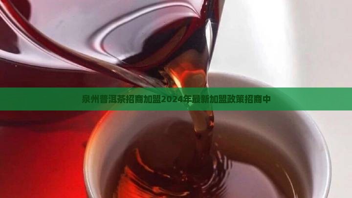泉州普洱茶品牌招商加盟