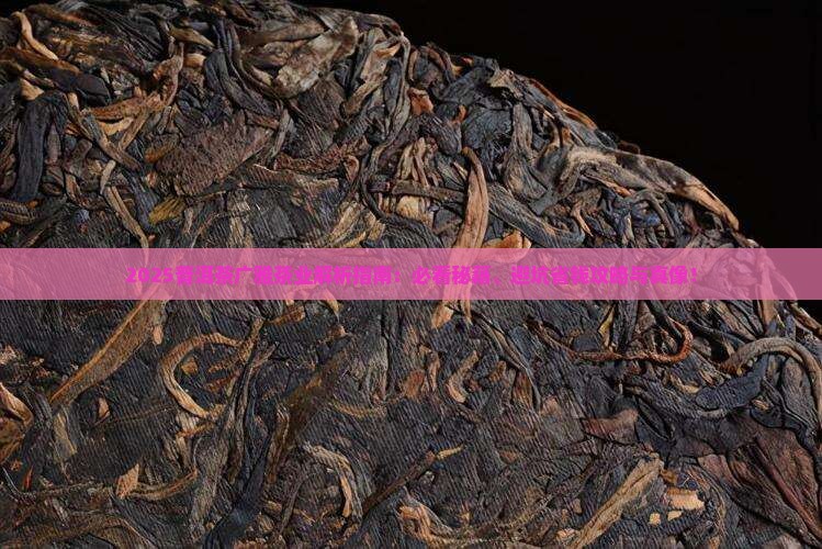 普洱茶广雅茶业