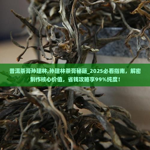 普洱茶膏创始人孙建林