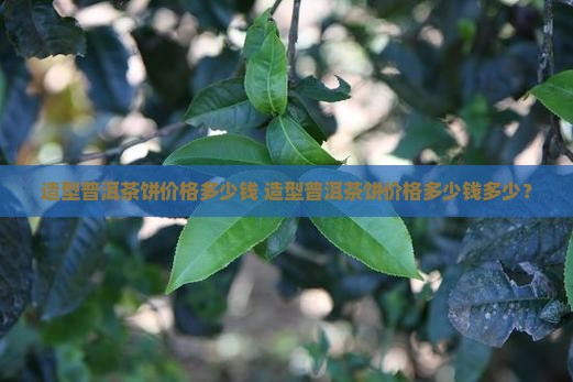 造型普洱茶饼价格多少钱