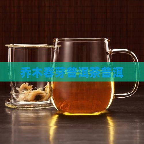 乔木春芽普洱茶