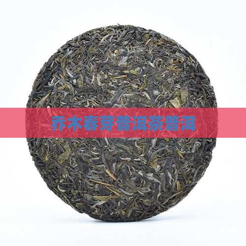 乔木春芽普洱茶