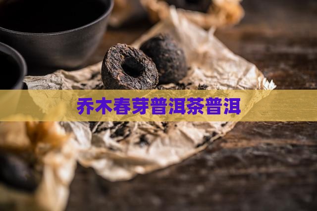 乔木春芽普洱茶