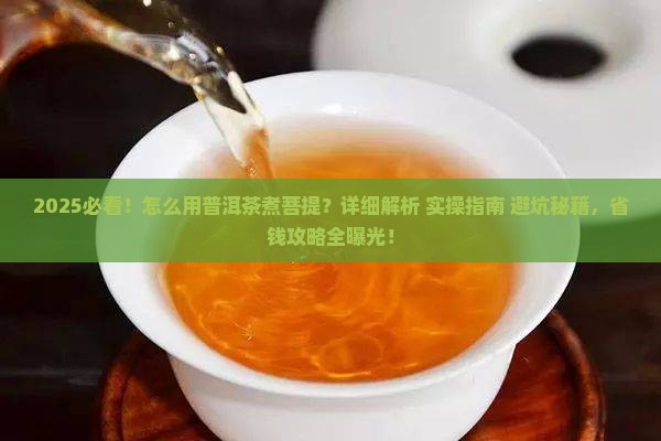 怎么用普洱茶煮菩提