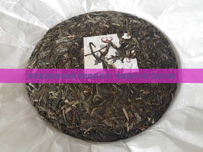 易武普洱茶熟茶地界