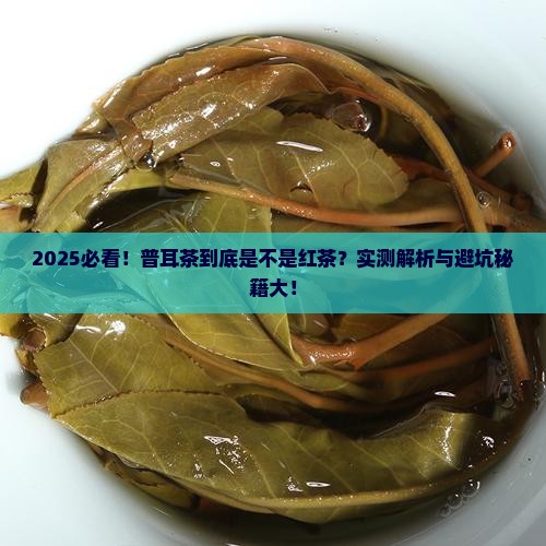 普耳茶是红茶类吗