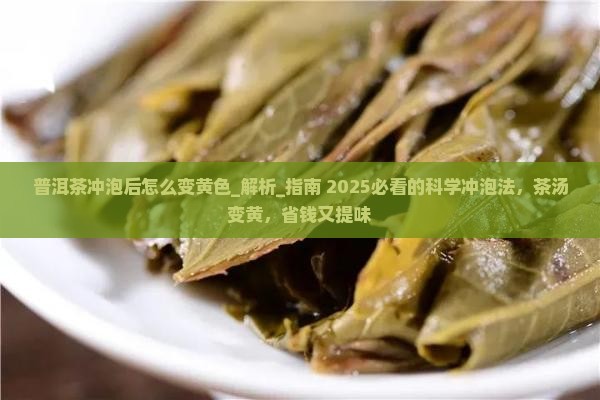 普洱茶冲泡后怎么变黄色