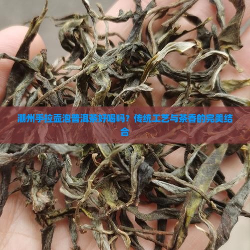潮州手拉壶泡普洱茶