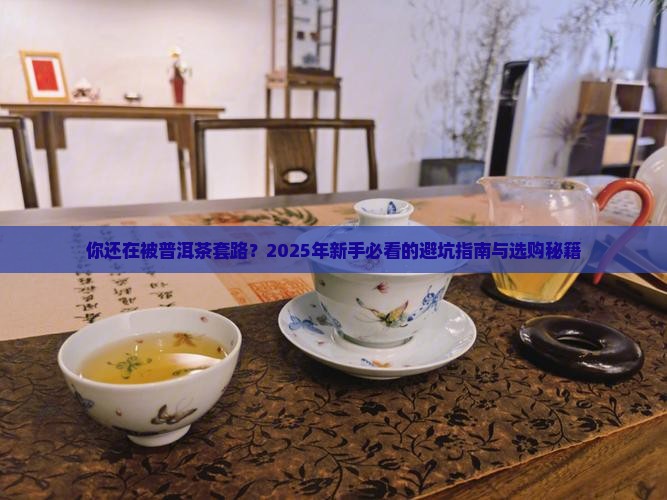 选择购买普洱茶