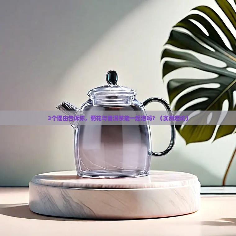 菊花与普洱茶可以一起泡吗