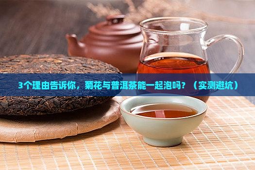 菊花与普洱茶可以一起泡吗