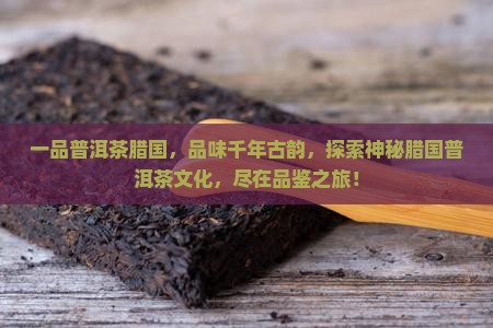 一品普洱茶腊国
