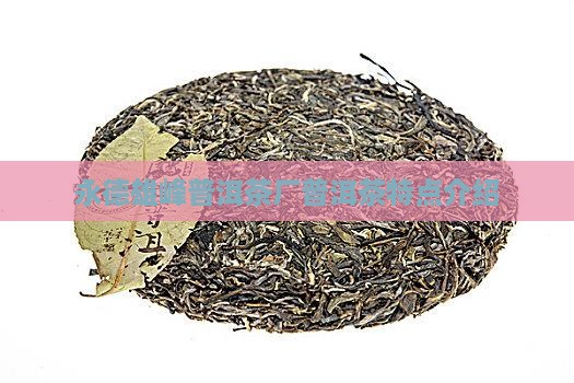 永德雄峰普洱茶特点介绍
