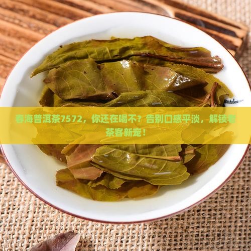 春海普洱茶7572