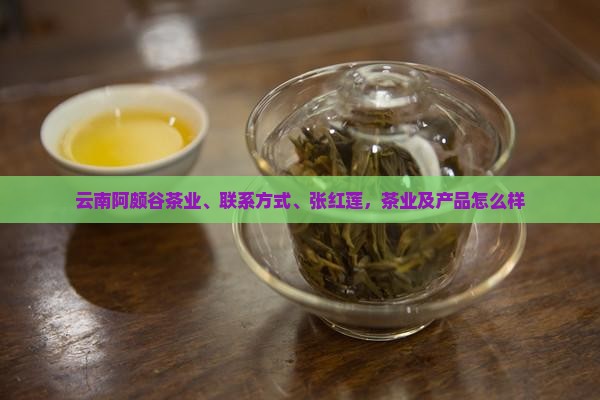 云南阿颇谷茶业