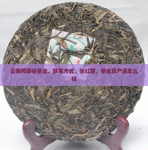 云南阿颇谷茶业