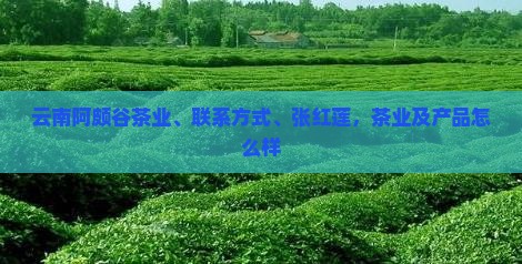 云南阿颇谷茶业
