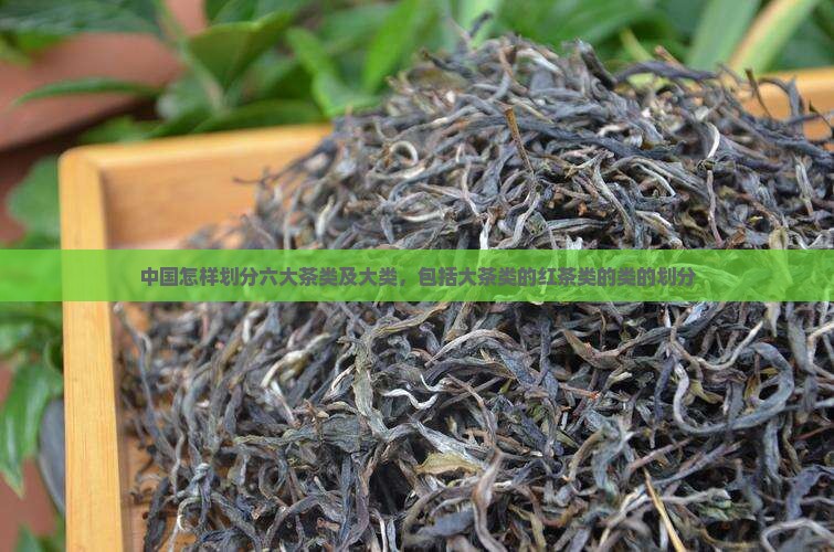 中国的茶类是怎样划分的
