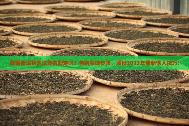 陈菊普洱茶泡法