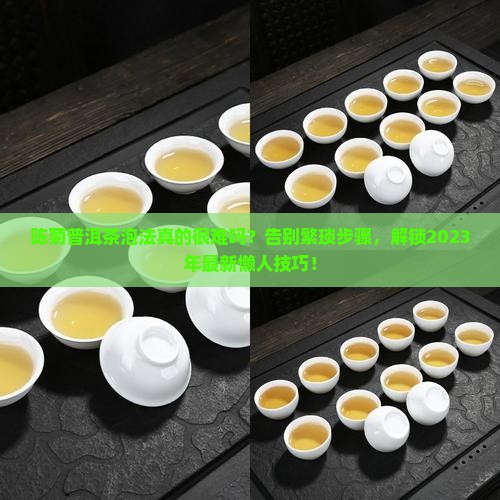 陈菊普洱茶泡法