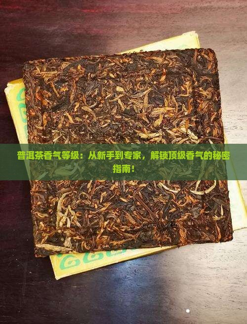 普洱茶香气等级
