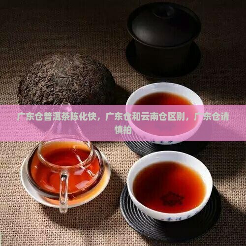 广东仓普洱茶陈化快
