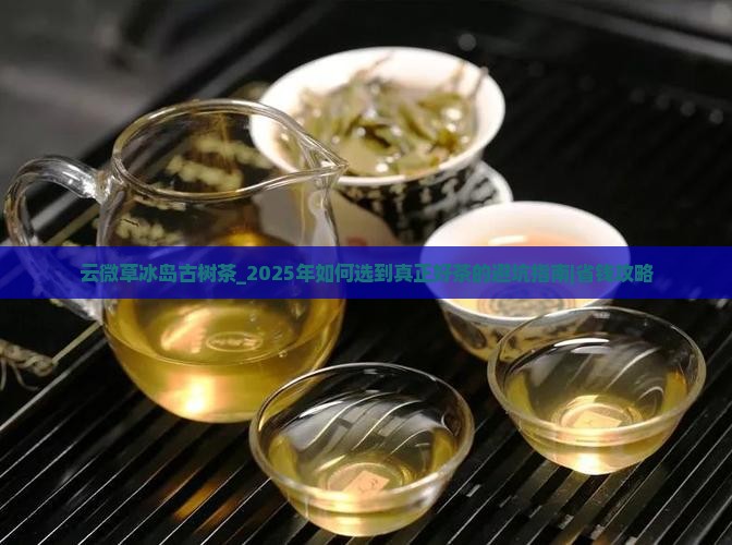云微草冰岛古树茶