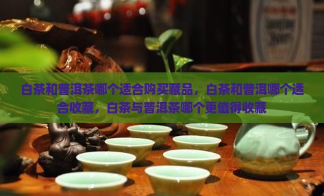 白茶和普洱茶哪个适合购买藏