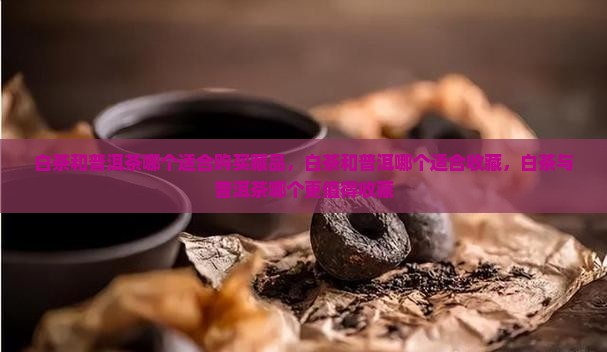 白茶和普洱茶哪个适合购买藏