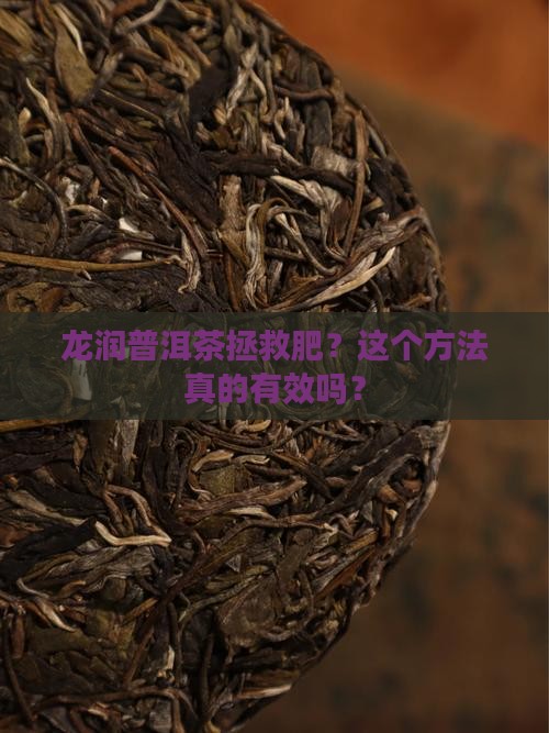 龙润普洱茶拯救肥